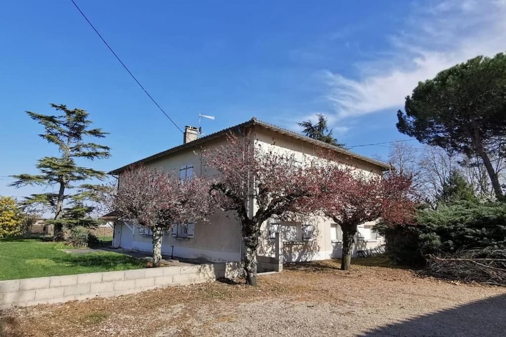 Maison Gaillacoise Exterior foto